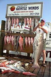 destin charter fishing, charter fishing, destin fishing